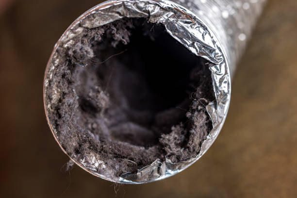 Best HVAC Duct Inspection Services  in North Lauderdale, FL